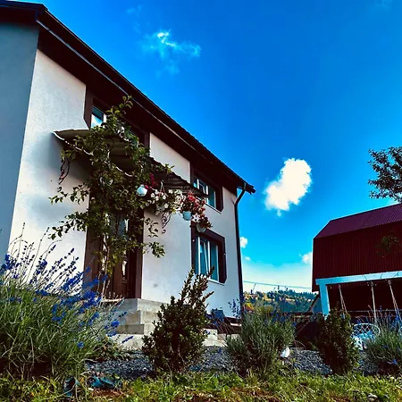 Modern House Synevyrs'ka Polyana