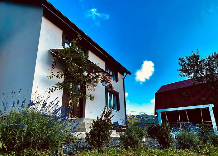 Modern House Synevyrsʼka Polyana